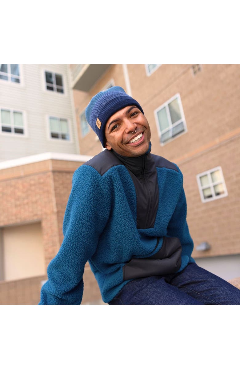 Turtle Fur BTV Wool Beanie, Alternate, color, Bark