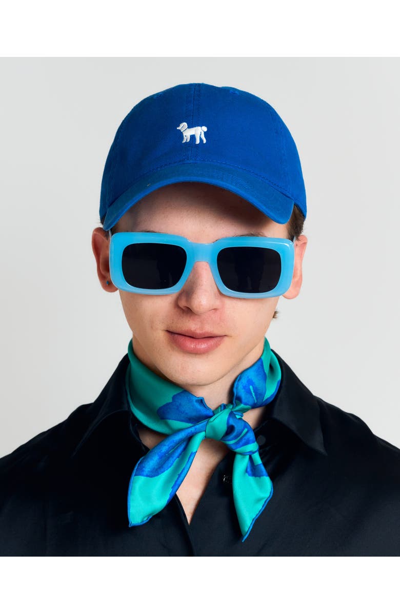 Lost Pattern "Pan Pan" Baseball Cap, Alternate, color, Royal Blue