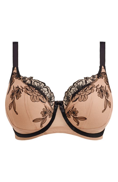 Elomi Teagan Padded Underwire Half Cup Bra In Brown