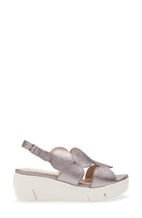 Wonders Platform Sandal In Max Plomo