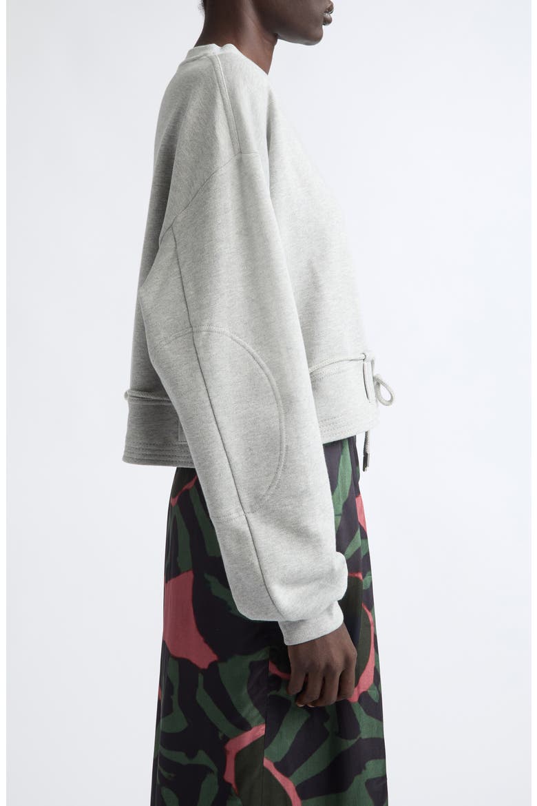 Hasterfiela Cotton Sweatshirt, Alternate, color, GREY MELANGE