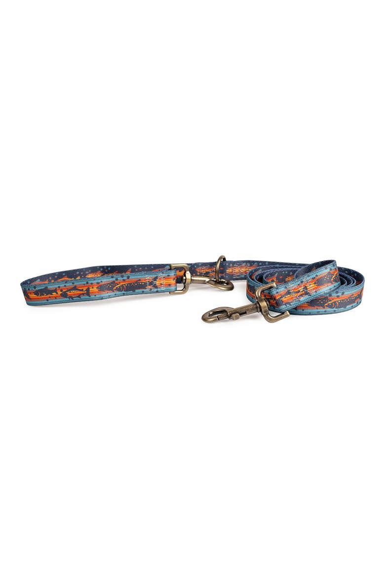 Adventure Dog Leash, Main, color, SALMON FALLS