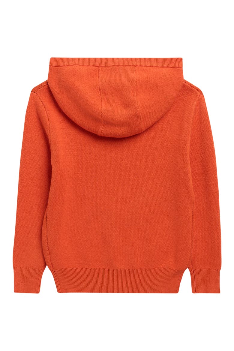 Kids' Embroidered Cotton Hooded Sweater, Alternate, color, ORANGE JACKO