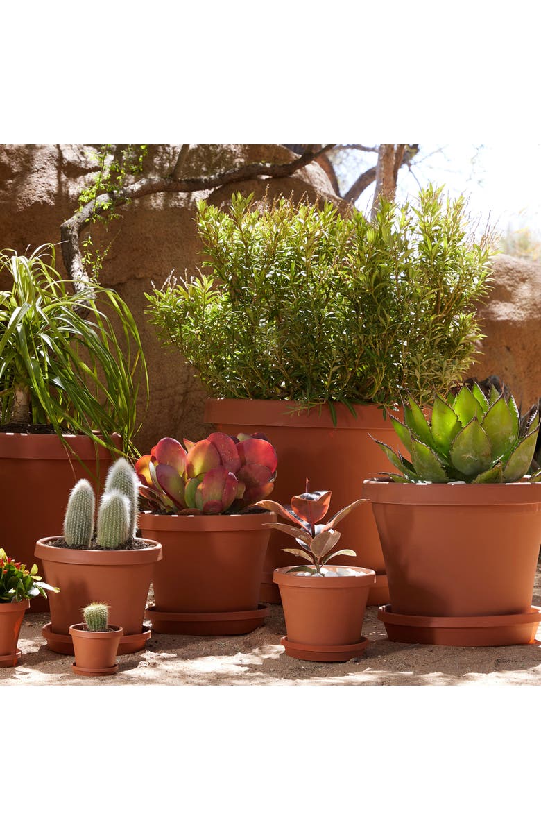 Bloem 14 Inch Terra Pot Planter, Terra Cotta, Alternate, color, Brown