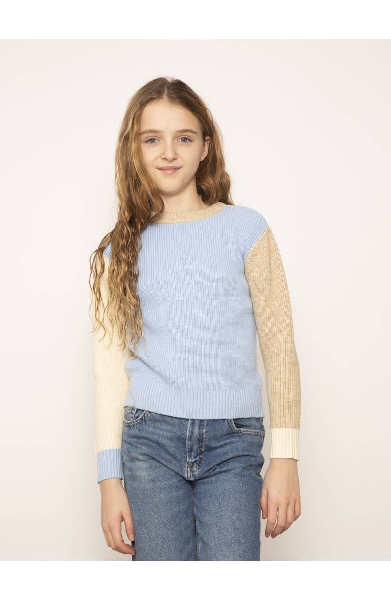 Central Park West Mallory Crewneck Whipstitch Sweater, Main, color, 