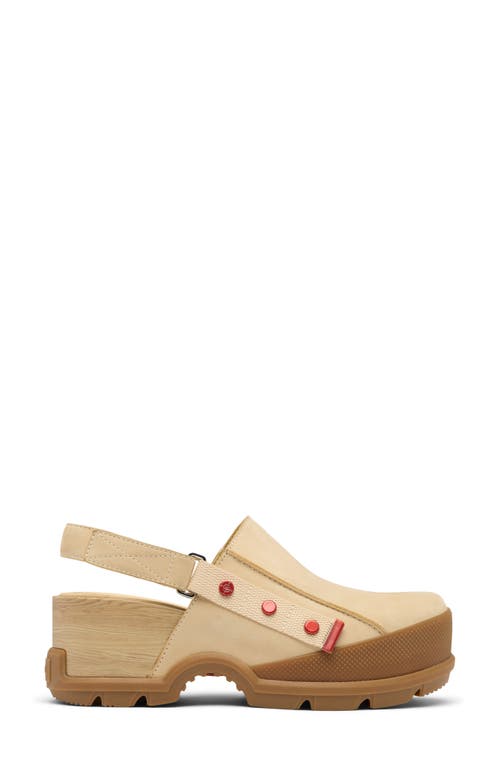 Sorel Roam'n Rbr Clog In Caribou Beige/gum