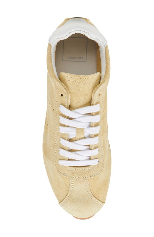 DOLCE VITA DOLCE VITA SERINA SNEAKER