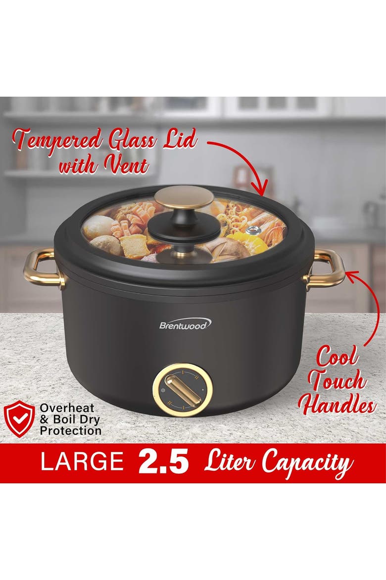 2.5 L Multi-Function Electric Hot Pot Cooker in Black, Alternate, color, Black