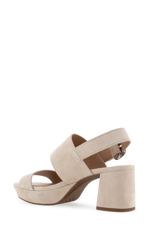 AEROSOLES AEROSOLES CAMERA PLATFORM SANDAL 