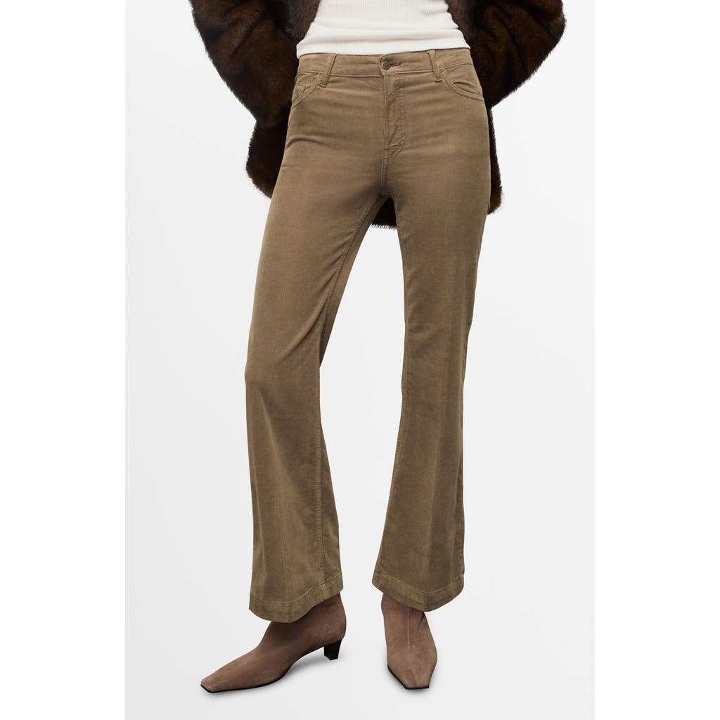 Mango Bootcut Corduroy Pants In Brown