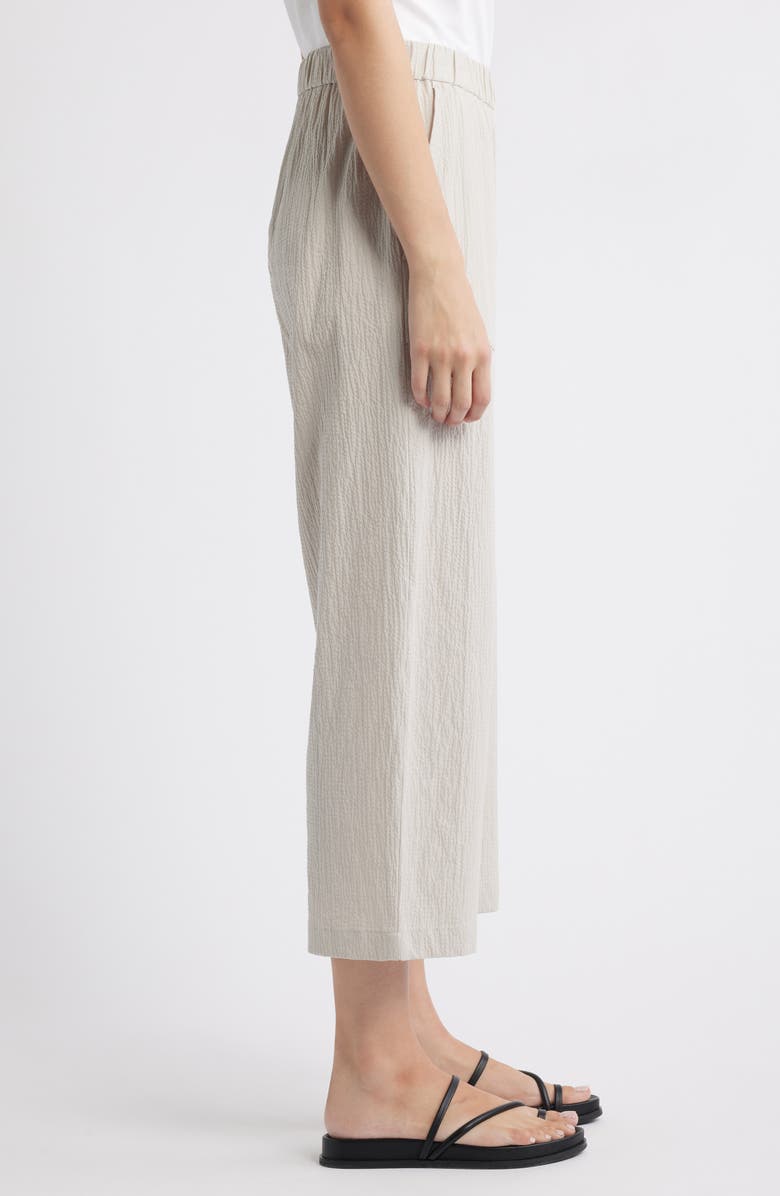 Eileen Fisher Stretch Organic Cotton Crop Pants, Alternate, color,