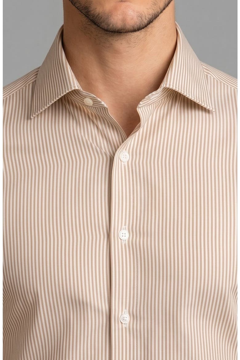 Vertical Stripe Dress Shirt, Alternate, color, BEIGE
