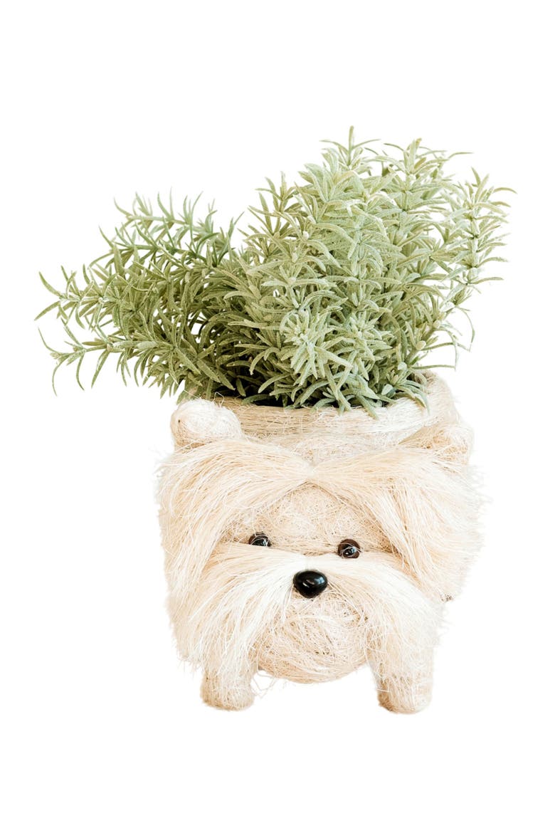 Westie Handwoven Planter, Alternate, color, WHITE