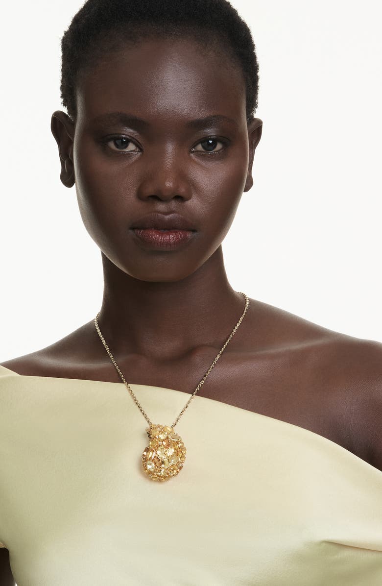 Swarovski Gema Crystal Brooch Pendant Necklace, Alternate, color, 