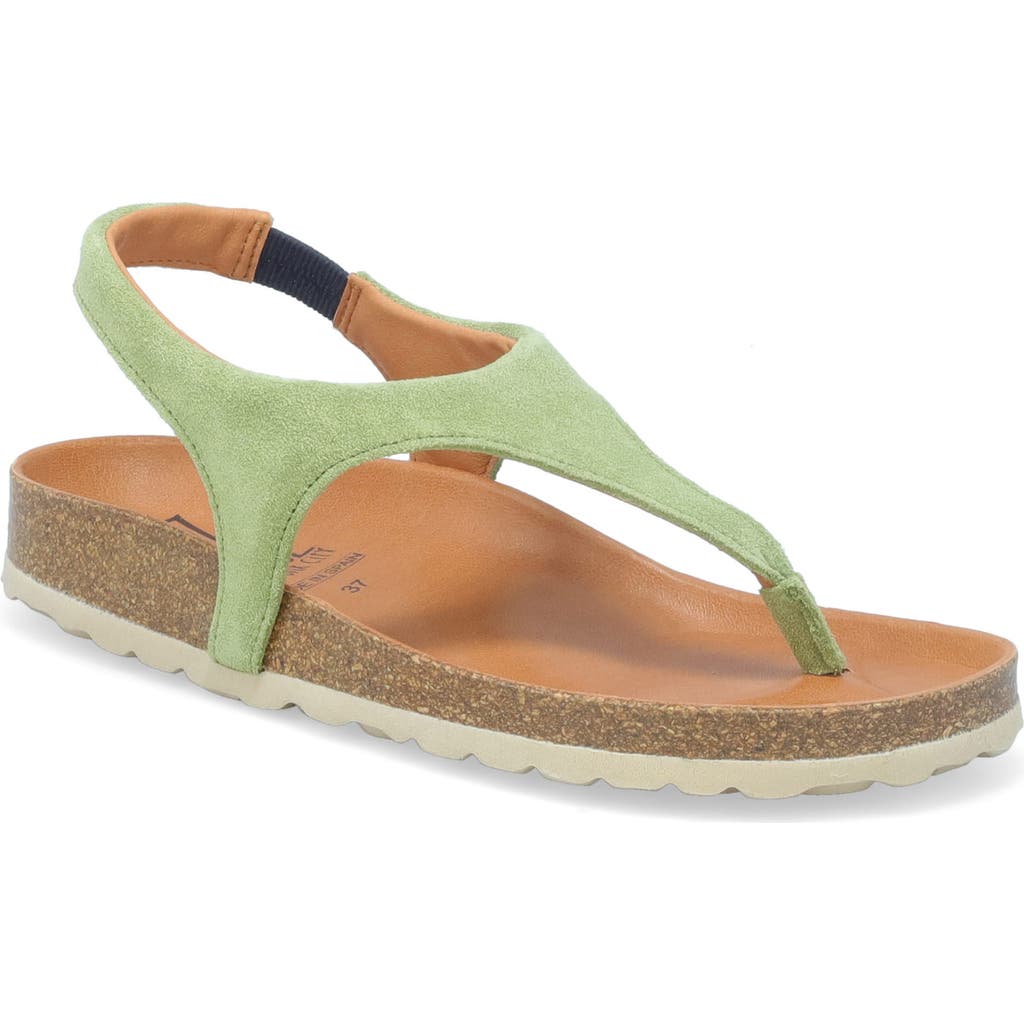 Miz Mooz Reagan Slingback Sandal In Aloe