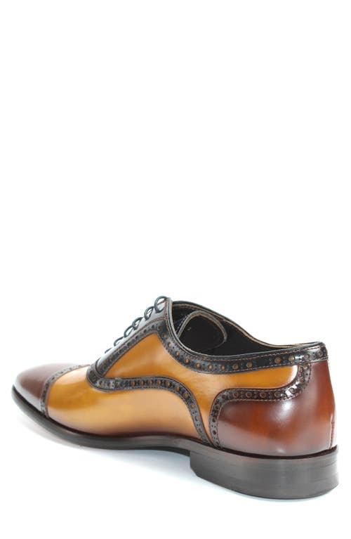 Vellapais Maine Colorblocked Oxford In Brown