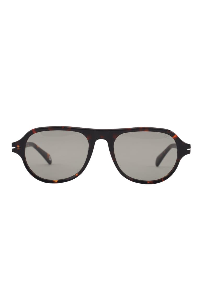 Ash Sunglasses, Main, color, Tortoise - Tinted Olive