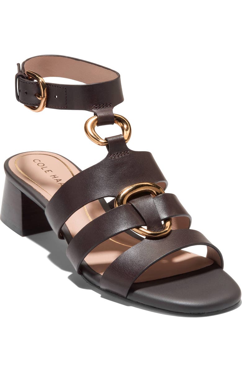Cole Haan Lyanna Link Ankle Strap Sandal, Main, color,