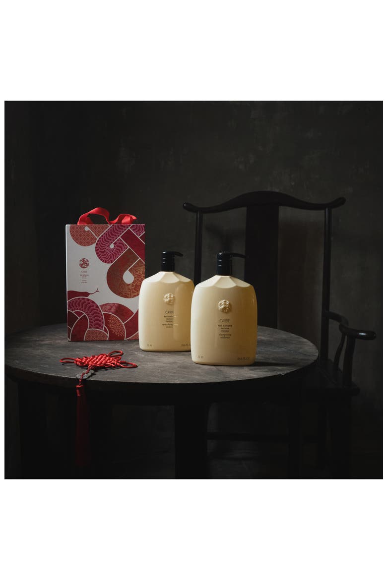 Lunar New Year Hair Alchemy Set (Limited Edition) $359 Value, Alternate, color, NO COLOR
