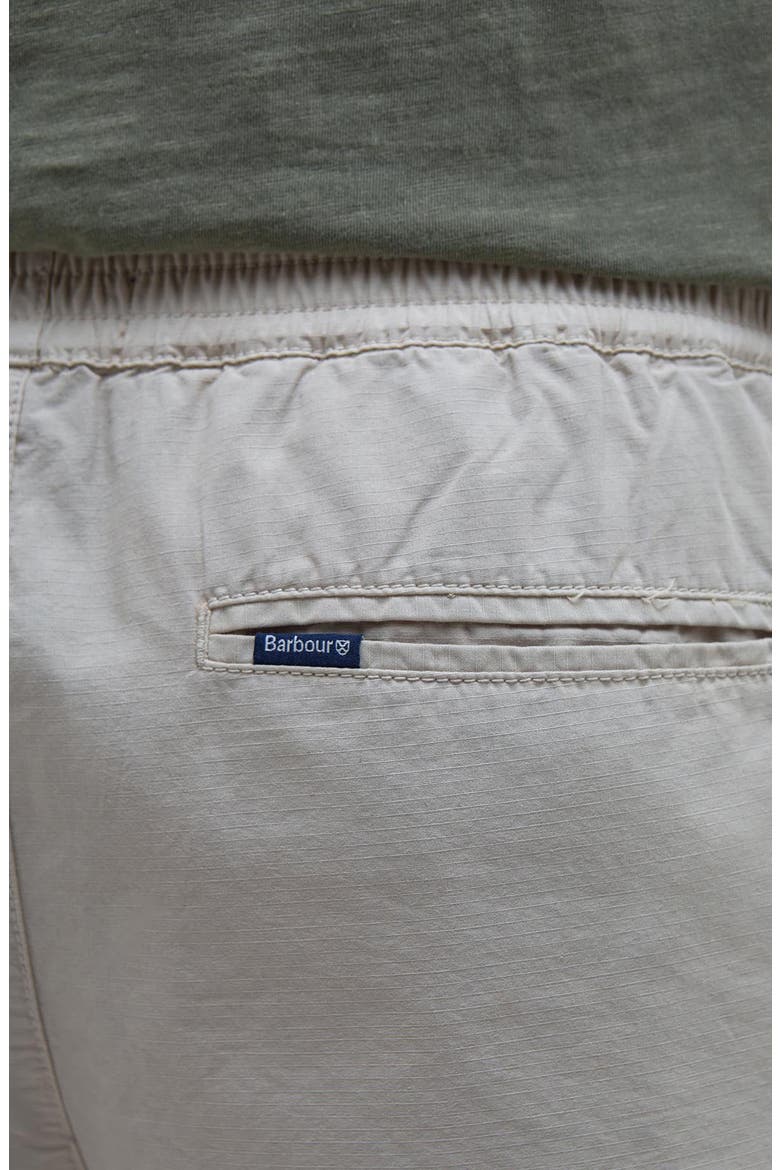 Rickfell Pleated Cotton Ripstop Shorts, Alternate, color, MIST