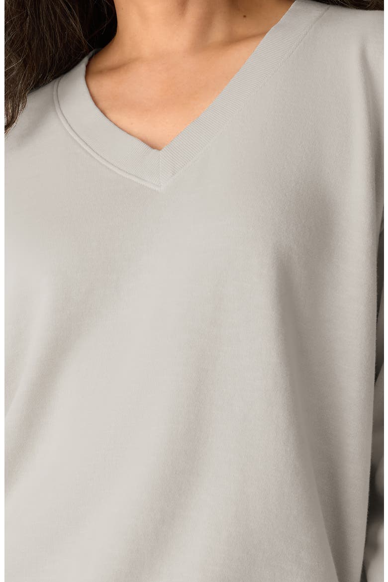 V-Neck Organic Cotton Sweatshirt, Alternate, color, PALE STRIPE