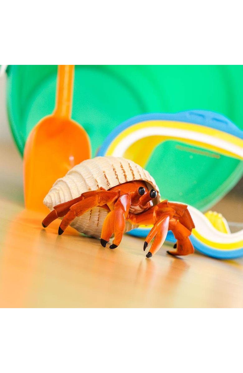 Safari Ltd. Hermit Crab Toy, Alternate, color, NO COLOR