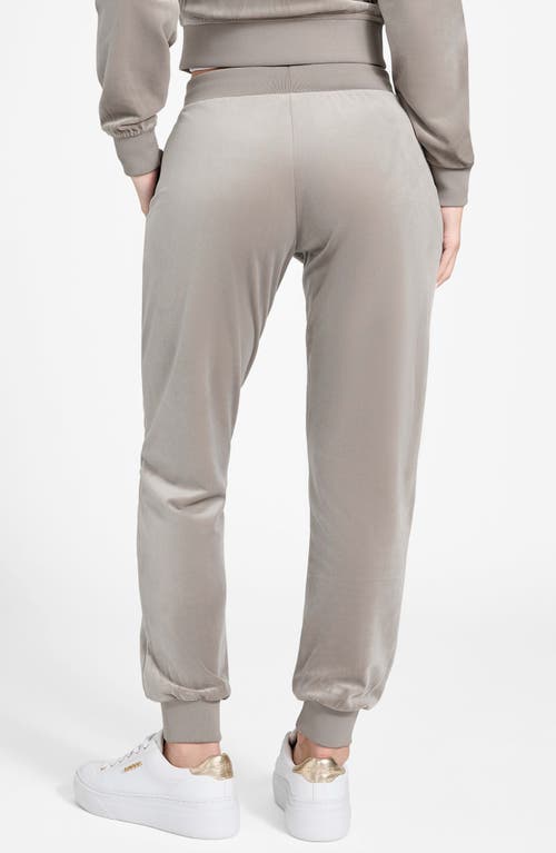 Guess Velvet Joggers In Gray