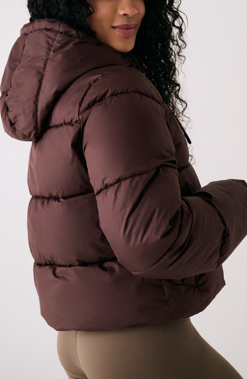Lole London Waterproof 700 Fill Power Hooded Down Crop Puffer Jacket In Brown