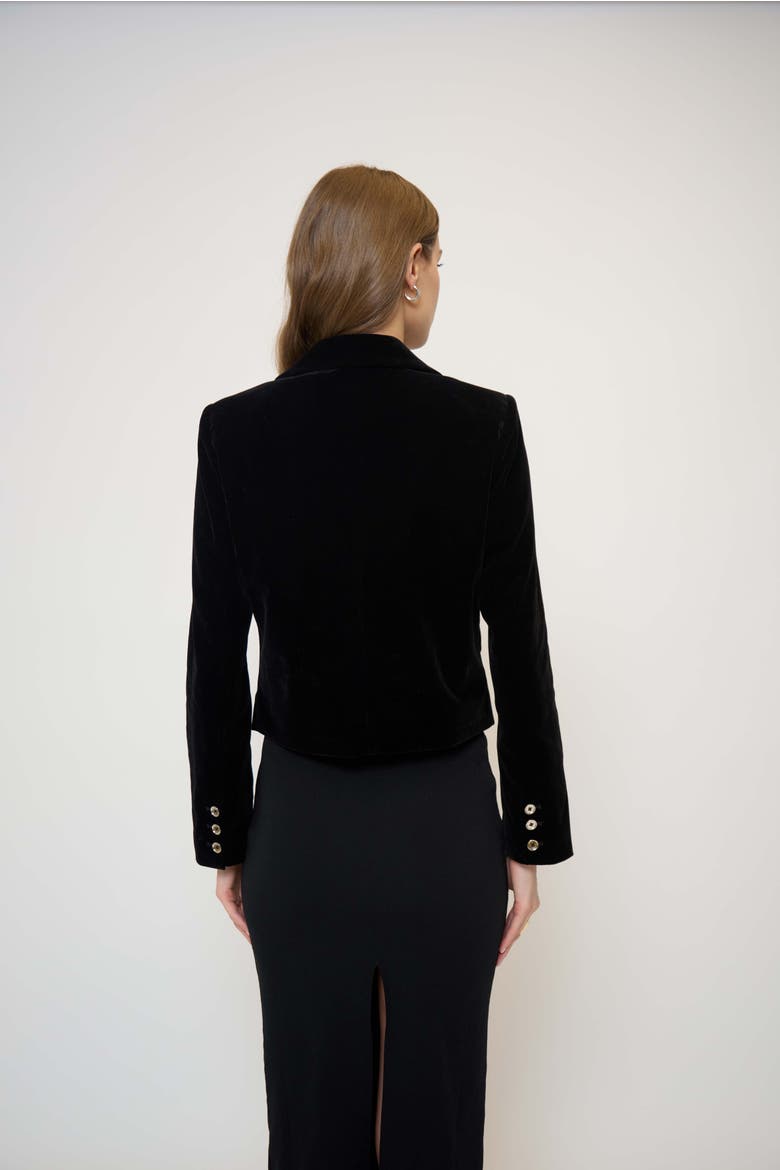 Ember Velvet Boxy Blazer, Alternate, color, BLACK