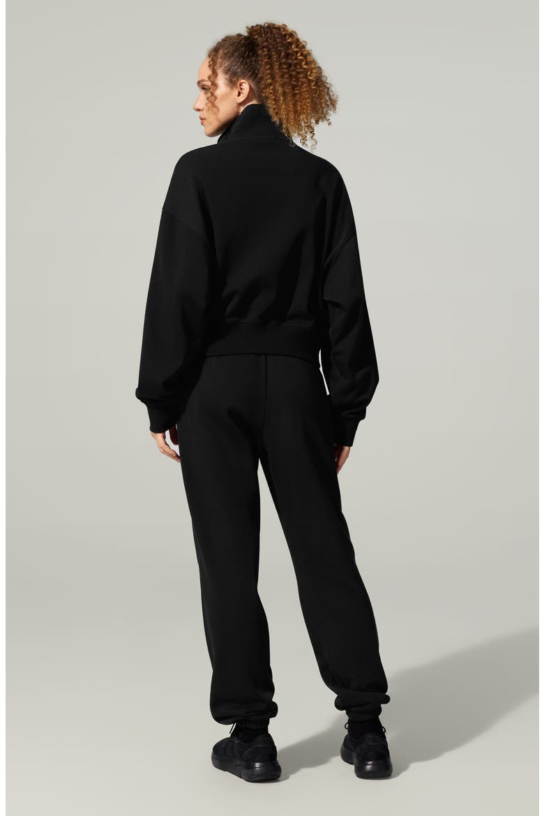 SILKERRY Oversized Heirloom '89 Zip Stand Collar Jacket, Alternate, color, Black