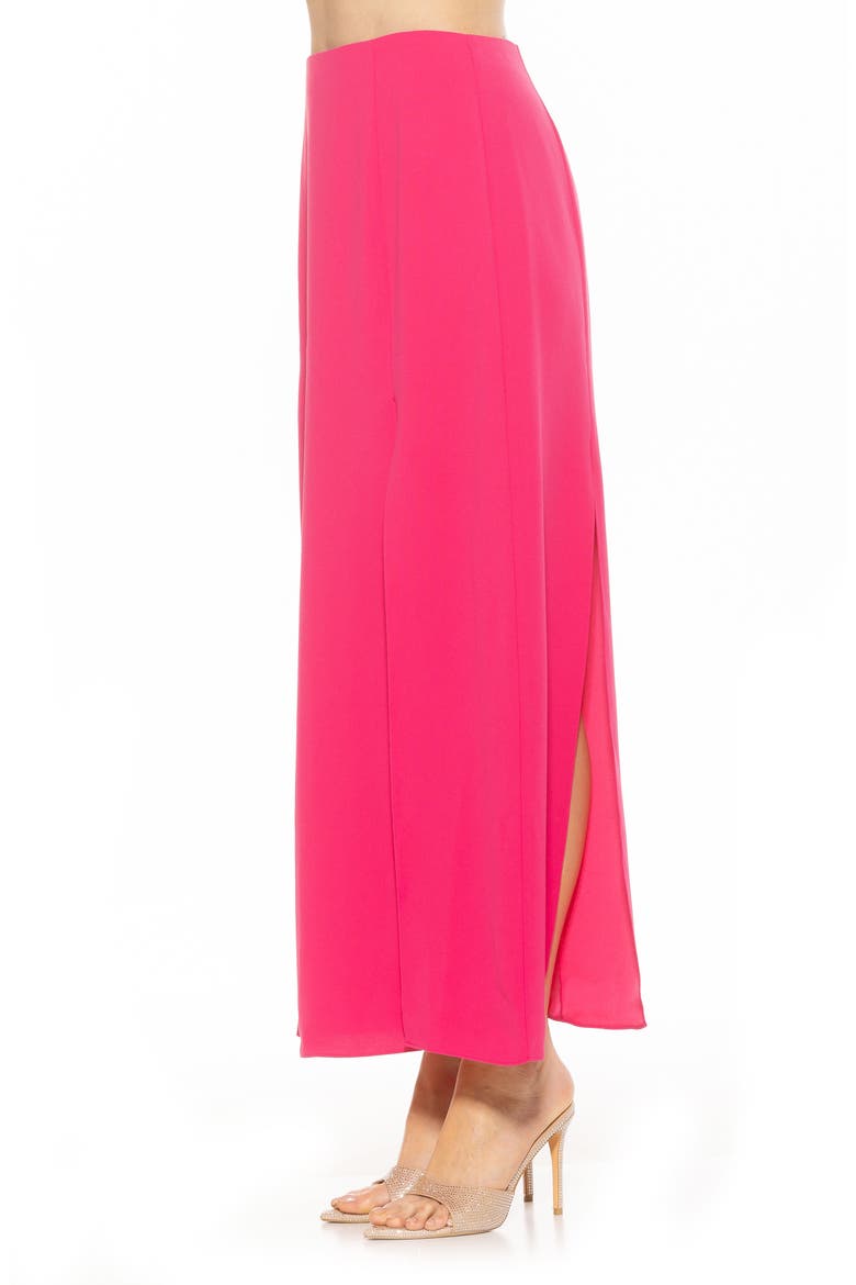 Sansa Maxi Skirt, Alternate, color, HOT PINK