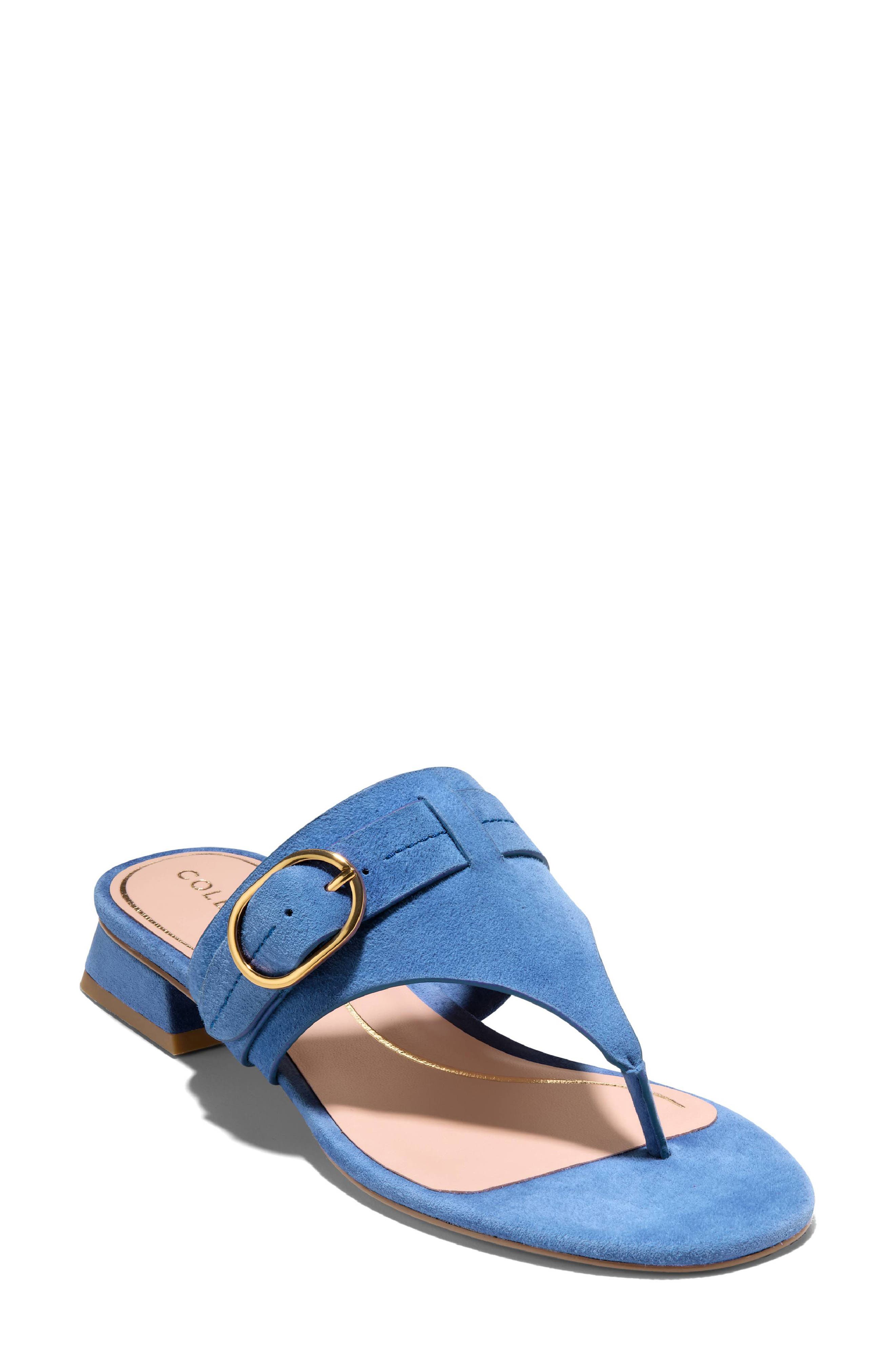 Cole Haan Gayle Flip Flop, Main, color, Dutch Blue Suede