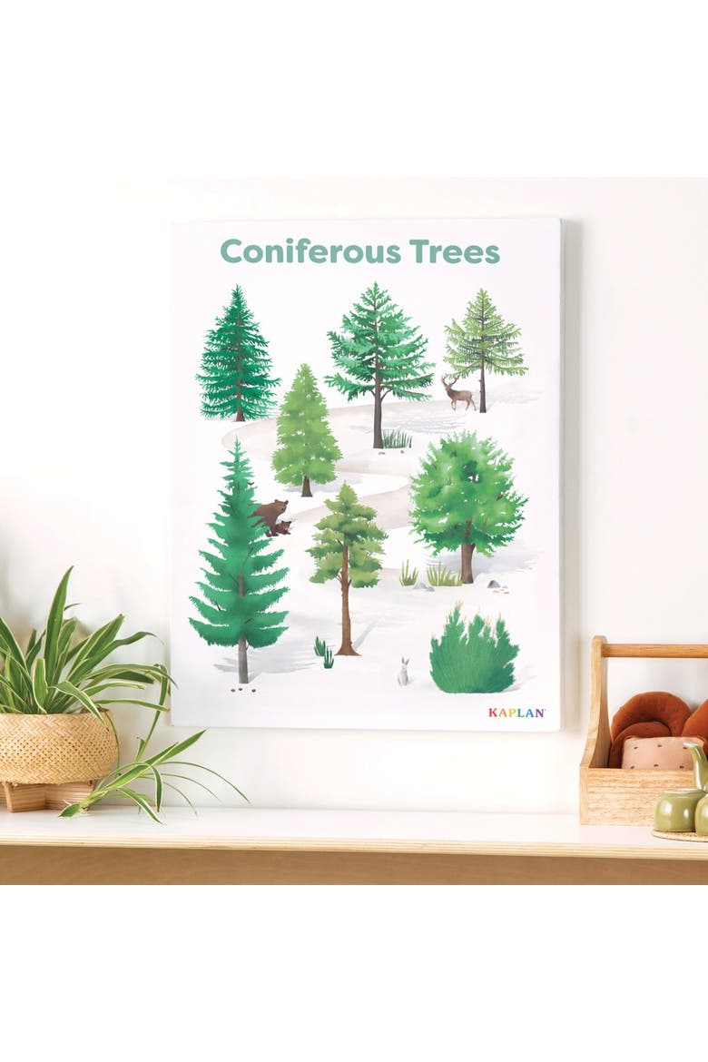 Coniferous Tree Giclee Classroom Wall Print, Alternate, color, green