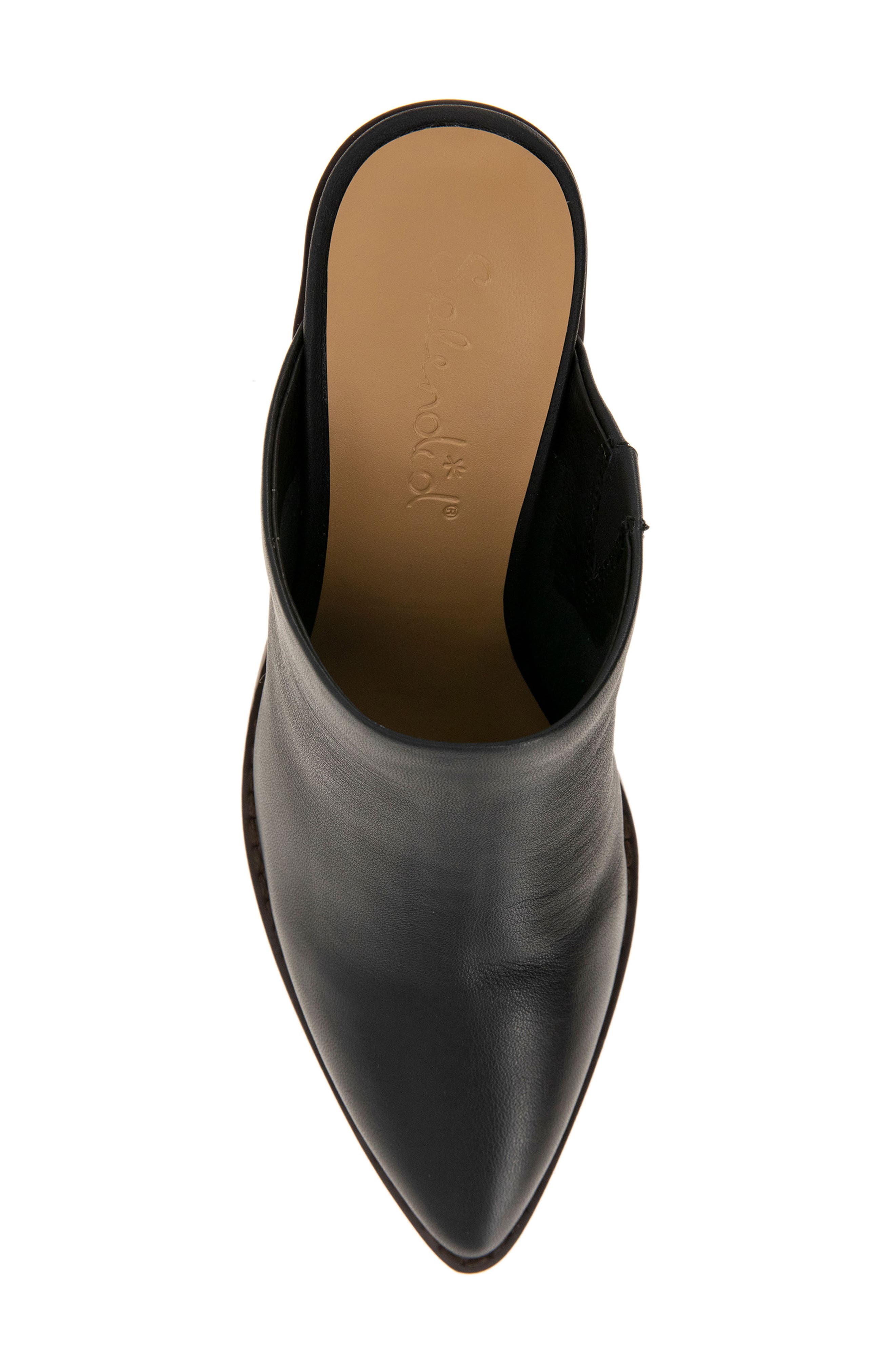 Splendid Roberta Mule, Alternate, color, 