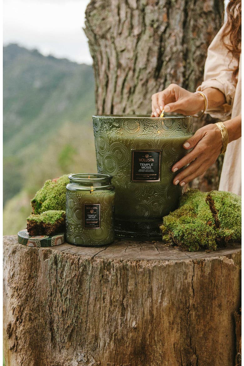 Temple Moss Large Jar Candle, Alternate, color, TEMPLE MOSS
