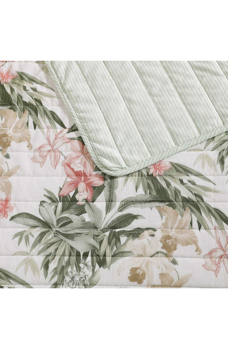 Tommy Bahama Island Orchid Quilt & Sham Set, Alternate, color, Light Pastel Pink