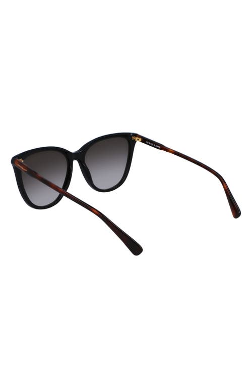 Longchamp Le Pliage 56mm Gradient Tea Cup Sunglasses In Black