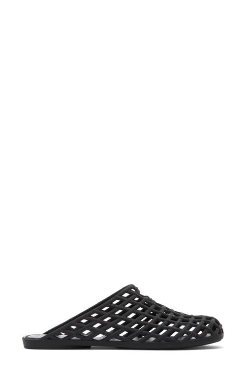 Jeffrey Campbell Sea Glass Jelly Mule