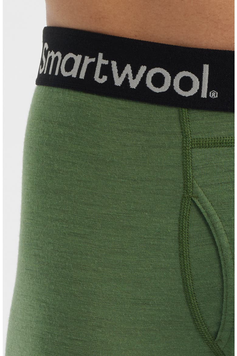 Merino Boxer Briefs, Alternate, color, FERN GREEN