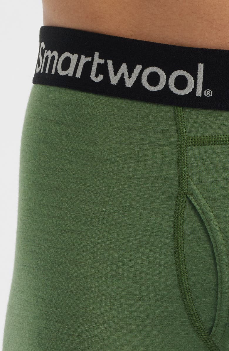 Smartwool Merino Boxer Briefs, Alternate, color, Fern Green