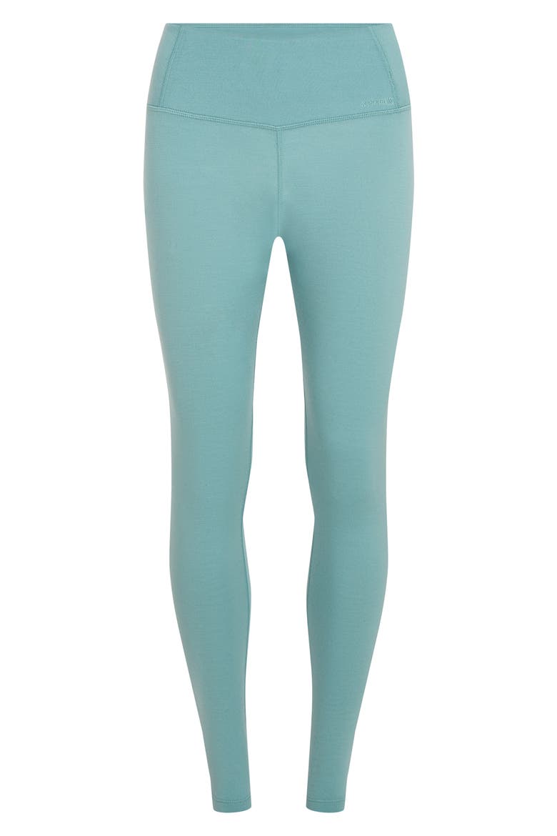 Merino Wool 260 Tech Leggings, Alternate, color, HYDRO