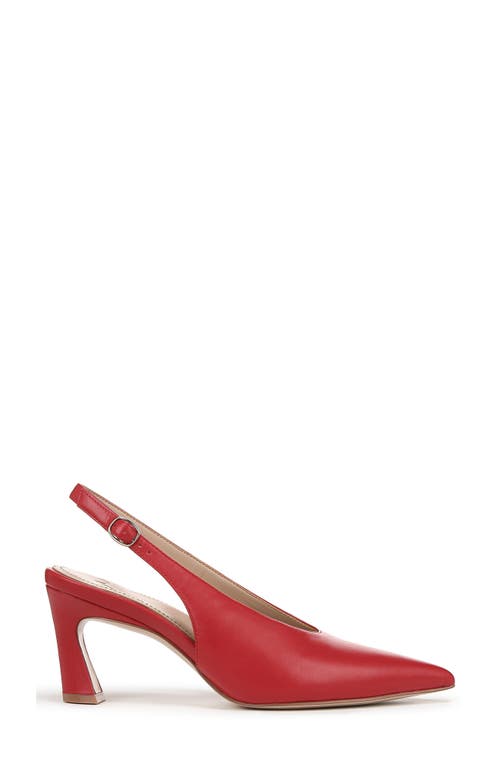 27 Edit Naturalizer Elaine Slingback Pointed Toe Pump In Crimson