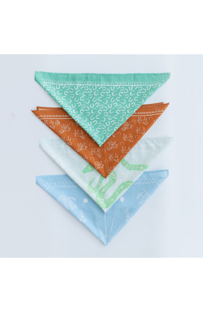 Daydream Society Yeehaw Bandana, Alternate, color, Snake