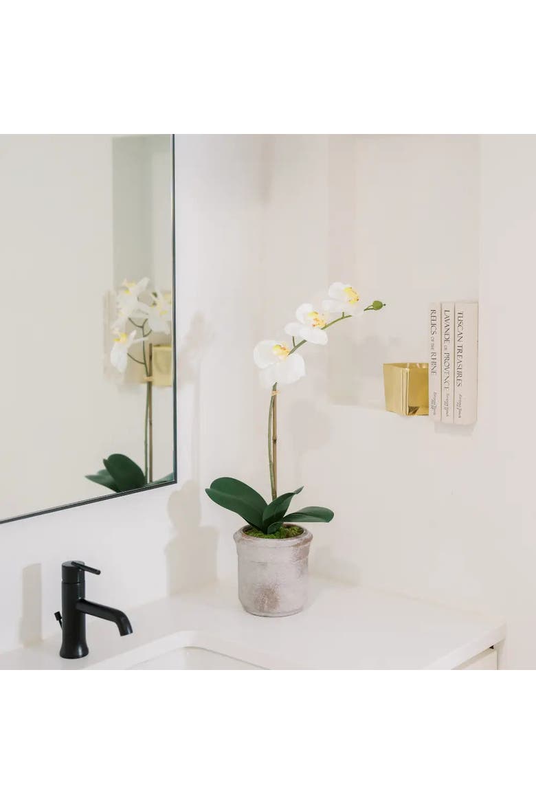 22" Artificial White Phalaenopsis Orchids, Set of 2, Alternate, color, White