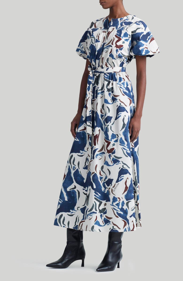 Altuzarra Paulina Print Maxi Dress, Alternate, color, 