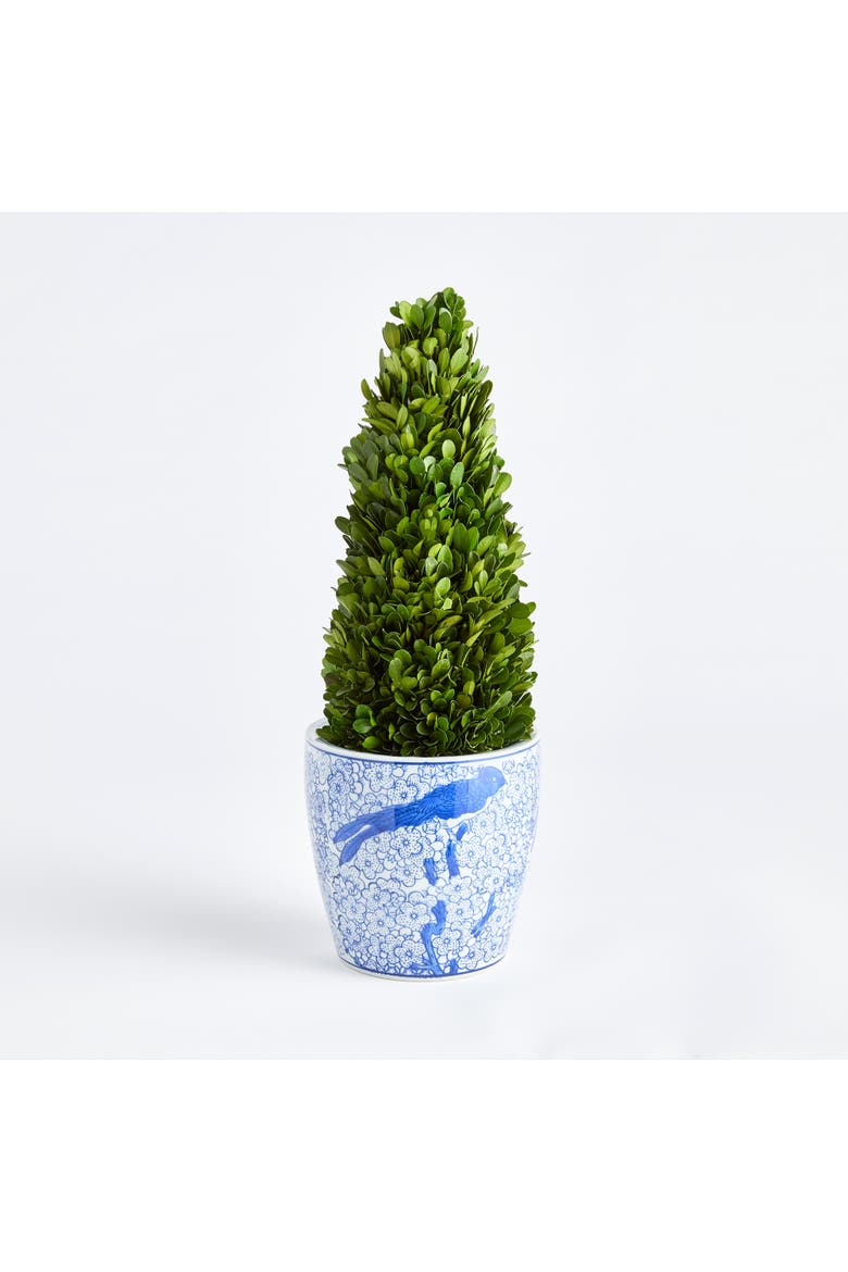 Boxwood Cone Topiary Drop-In 16", Alternate, color, Green