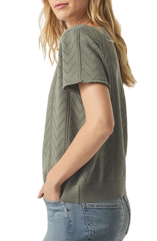Splendid Sabrina Pointelle Short Sleeve Sweater In Green