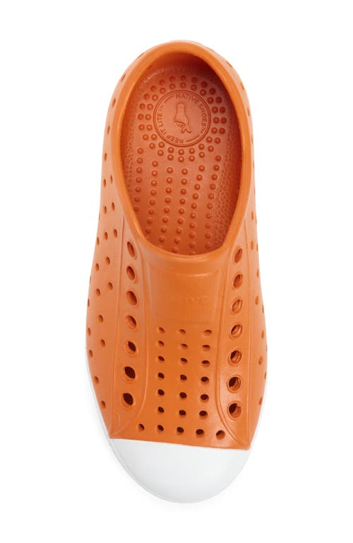 Native Shoes Jefferson Sugarlite Water Resistant Sneaker In Orange