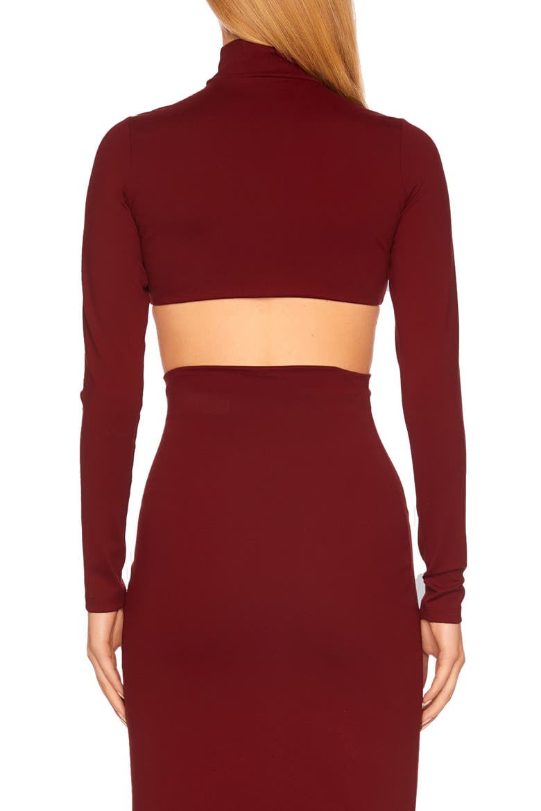 Underwire Mock Neck Crop Top, Alternate, color, OXBLOOD