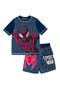 selected Miles Morales Grey